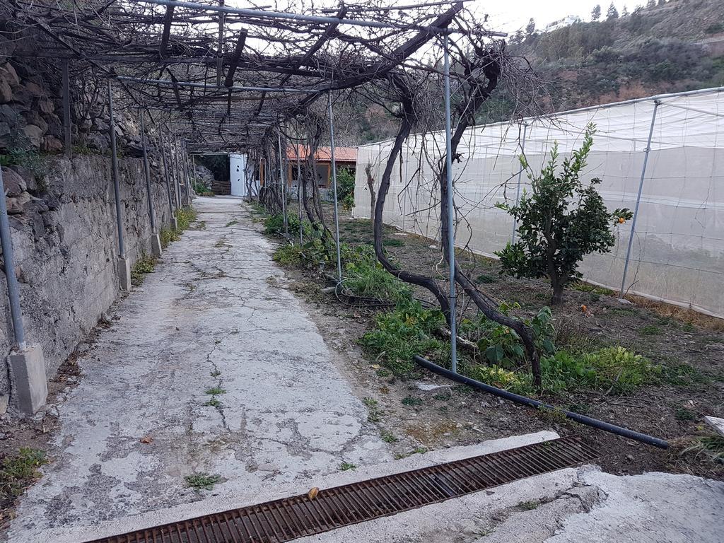 Casa Rural La Hoyita De Tunte San Bartolomé المظهر الخارجي الصورة