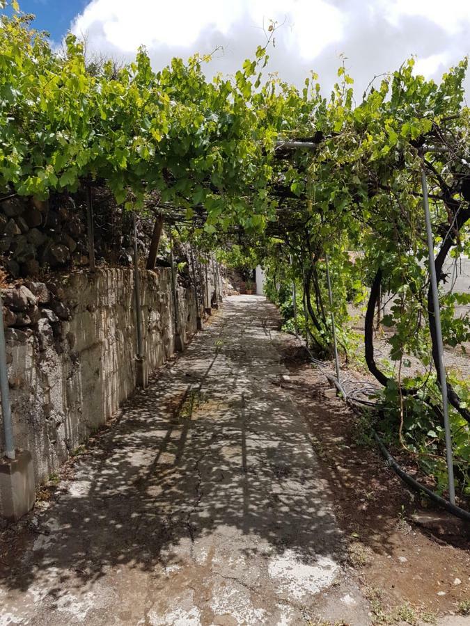 Casa Rural La Hoyita De Tunte San Bartolomé المظهر الخارجي الصورة
