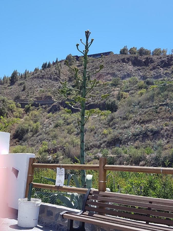 Casa Rural La Hoyita De Tunte San Bartolomé المظهر الخارجي الصورة