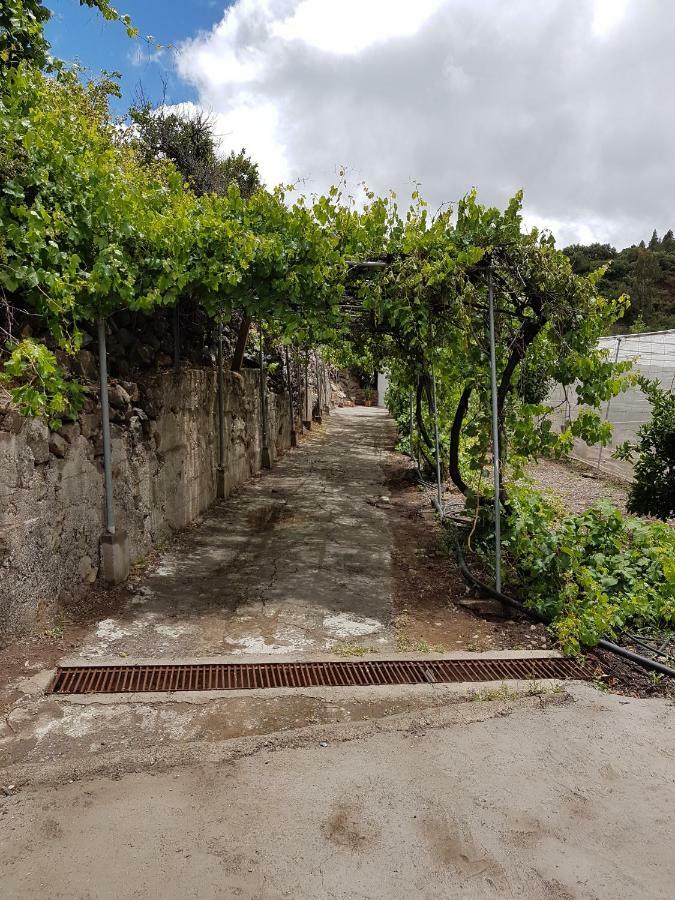 Casa Rural La Hoyita De Tunte San Bartolomé المظهر الخارجي الصورة