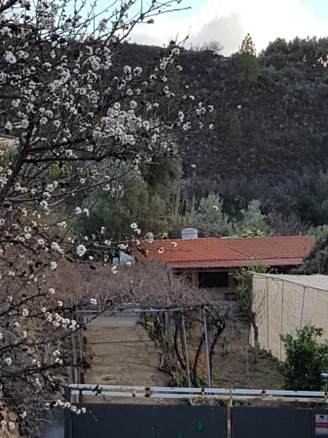Casa Rural La Hoyita De Tunte San Bartolomé المظهر الخارجي الصورة