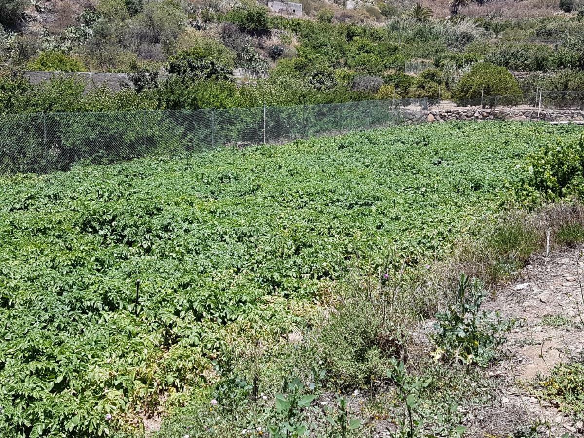 Casa Rural La Hoyita De Tunte San Bartolomé المظهر الخارجي الصورة